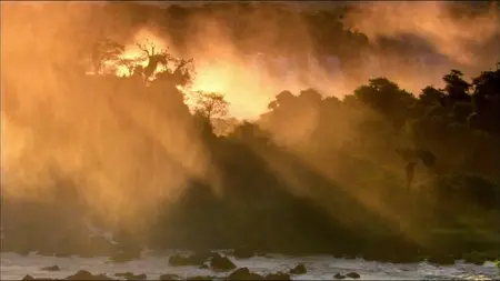 Mythos Amazonas/Amazon Alive (2010)