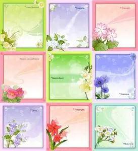 Frame - BFB Flowers
