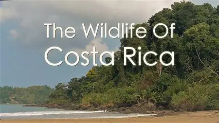 Terranoa - Costa Rica: Wildlife under the Rainbow (2018)