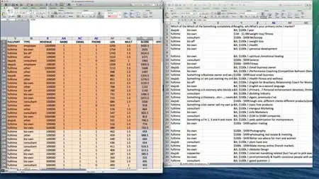 Ryan Levesque, Todd Brown - Survey Funnel Formula