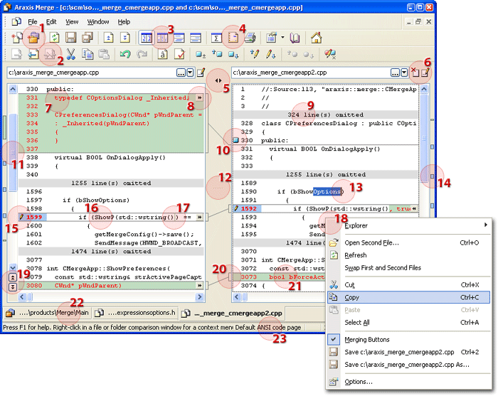 Araxis Merge Professional  2008.3626