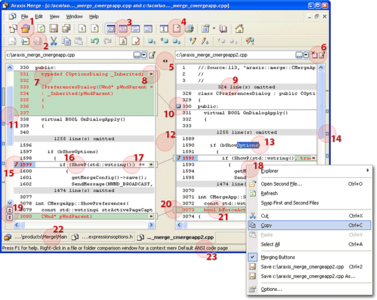 Araxis Merge Professional  2008.3626