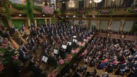 Franz Welser-Most, Wiener Philharmoniker - Neujahrskonzert 2011 [Blu-Ray]