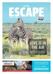 Sunday Mail Escape - February 10, 2019