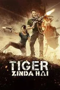 Tiger Zinda Hai / टाइगर ज़िंदा है (2017)