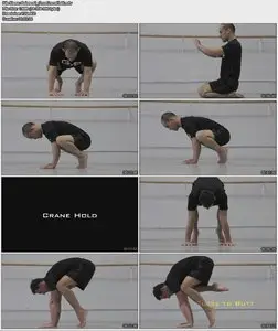 Gold Medal Bodies - Floor One