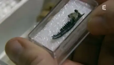 (Fr5) La relève du dinosaure (2010)