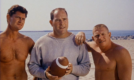 The Chapman Report (1962)