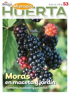 La Huerta en Casa - 15 Julio 2025