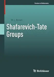 Shafarevich-Tate Groups