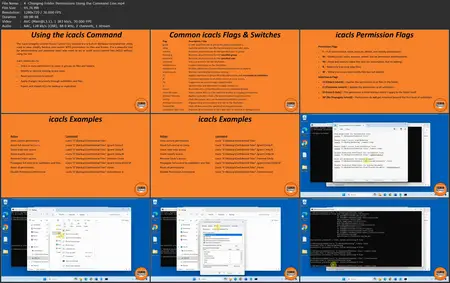 Computer Networking Fundamentals - IT Network Essentials