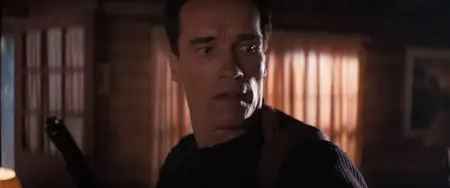 Eraser (1996) [MultiSubs]