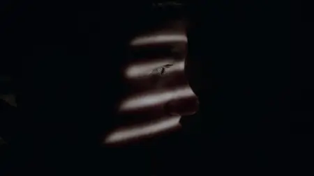 Absentia S03E09