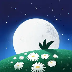 BetterSleep  Sleep tracker v25.1