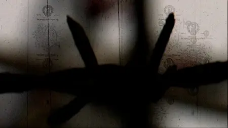 Ergo Proxy - 11