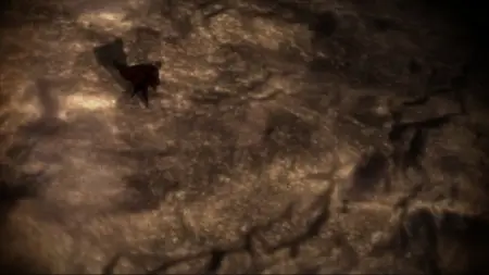 Ergo Proxy - 11
