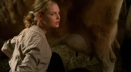 Love Comes Softly (2003)