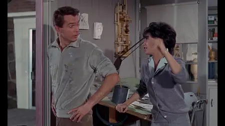 The Ugly Dachshund (1966)