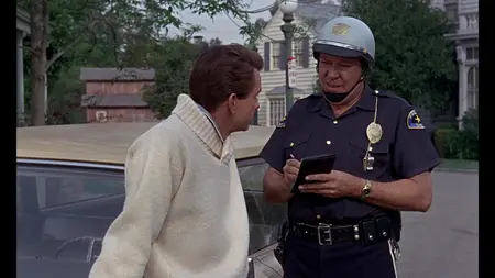 The Ugly Dachshund (1966)