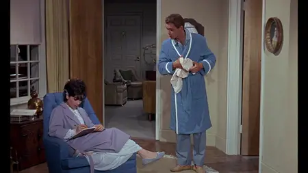 The Ugly Dachshund (1966)