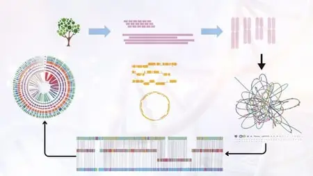 Learn Genome Assembly & Annotation In Prokaryote & Eukaryote