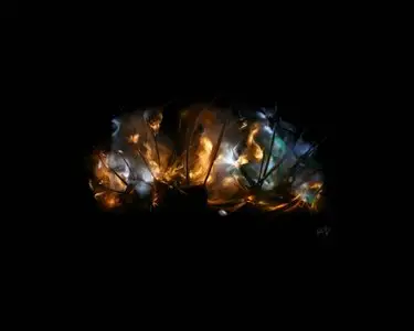The Painting Of Light - Wallpapers