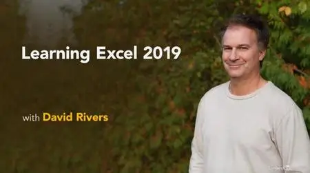 Learning Excel 2019