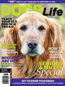 Dogs Life - August 2015