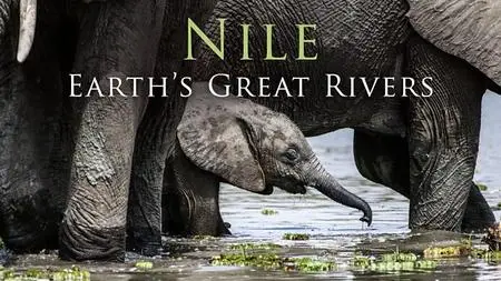BBC - Earth's Great Rivers Series 1: Nile (2019)