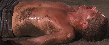 Cool Hand Luke (1967)