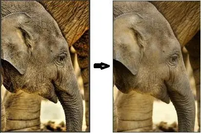 Fhotoroom Dramatic 3.5 for Photoshop (x86/x64)