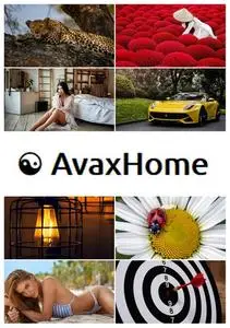 AvaxHome Wallpapers Part 63