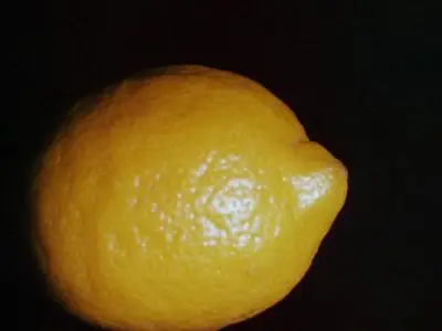 Lemon (1969)