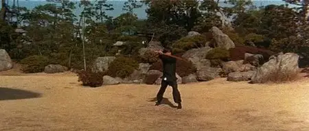 Game Of Death II (1981)