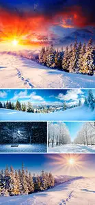 Stock Photo - Winter