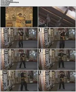 Austin Goh - The Secret Of Wing Chun Butterfly Knives Form