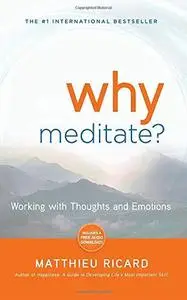 Why Meditate: Working with Thoughts and Emotions (Repost)