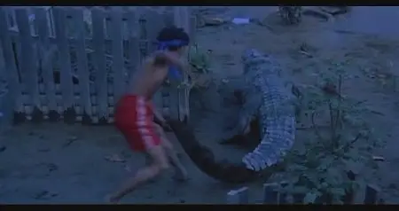 Chih-Hung Kuei: The boxer’s omen (1983) 