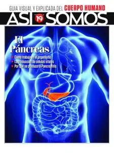 Así Somos - El cuerpo humano – noviembre 2022