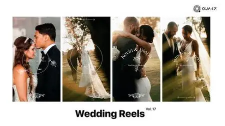 Wedding Reels Vol. 17 49308237