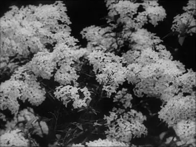 Man with a Movie Camera (1929)