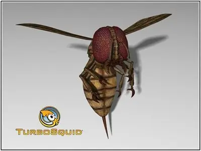 TurboSquid – Monstrous Blood Wasp