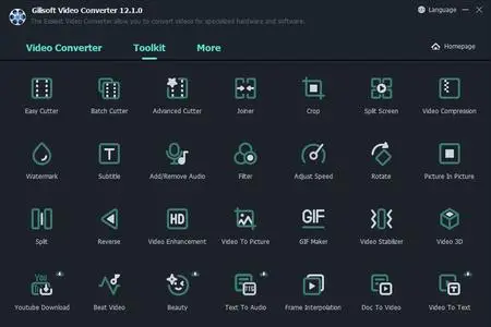 GiliSoft Video Converter 12.2 (x64) Multilingual