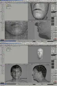 3D Tutorial - Mastering Human Head Modeling