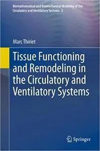 Tissue Functioning and Remodeling in the Circulatory and Ventilatory Systems