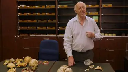 Curiosity TV - Breakthrough: Little Foot Exploring Our Origins (2019)