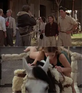 Wild Hearts Can't Be Broken (1991)