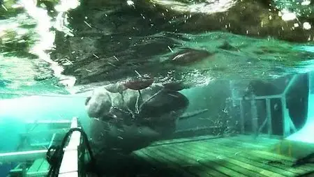 Nat Geo - Expedition Great White Chasing Giants
