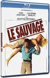 Le sauvage (1975)