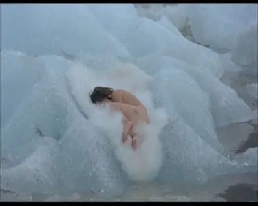 The Inner Scar/La cicatrice interieure (1972)